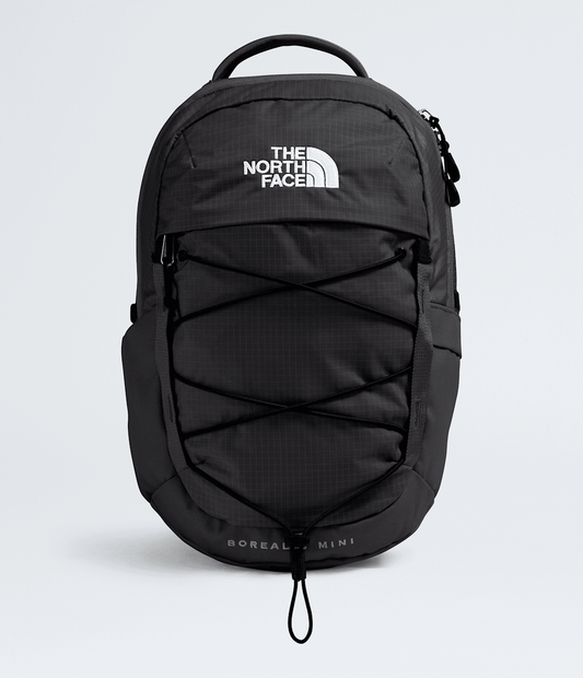 The North Face Borealis Mini Backpack